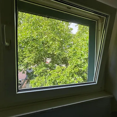 Vastus Homes ホームステイ